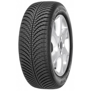 175/80R14 VECTOR 4SEASONS G2 88T