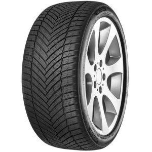 MINERVA R18 V padangos