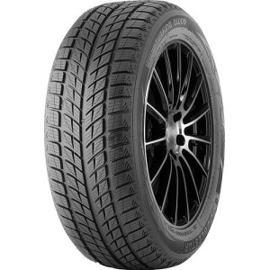 245/40R18 DOUBLESTAR DW09 93H