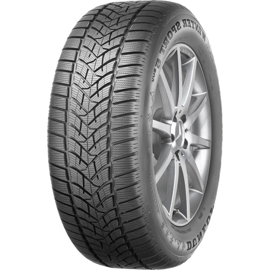 DUNLOP R19 V padangos