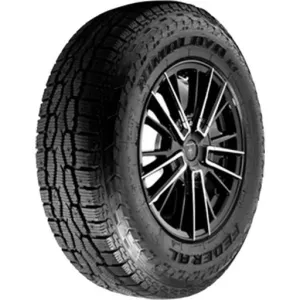 FEDERAL R17 Q padangos