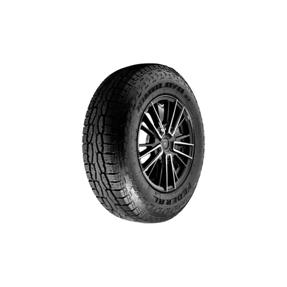 FEDERAL R17 Q padangos