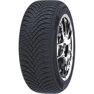 GOODRIDE R17 W padangos