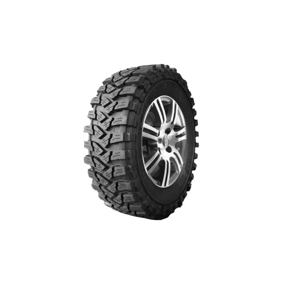 MALATESTA R16 T padangos