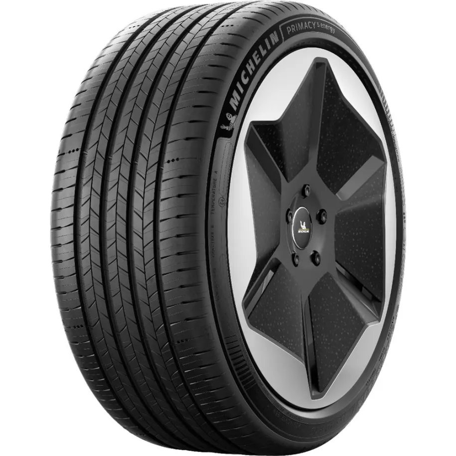 MICHELIN R16 V padangos