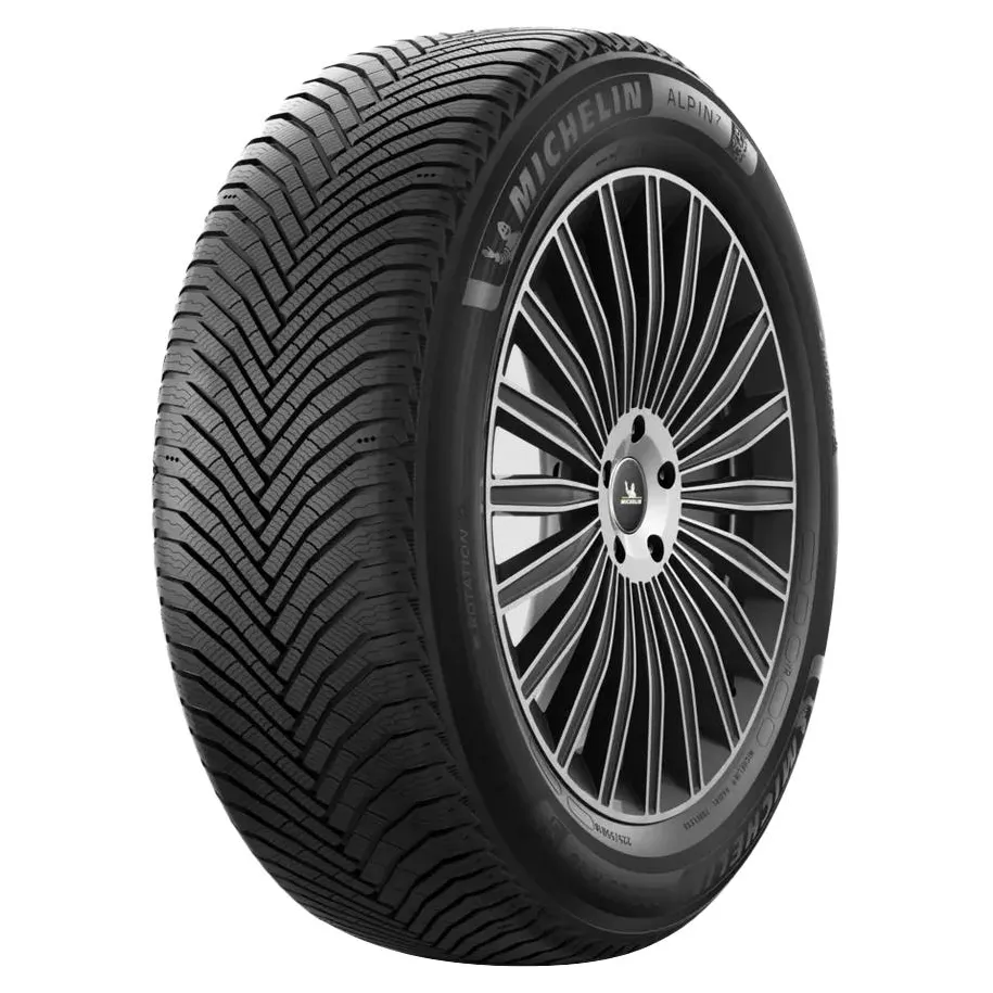 MICHELIN R17 V padangos