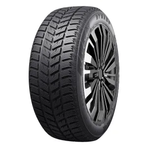 DYNAMO R18 T padangos