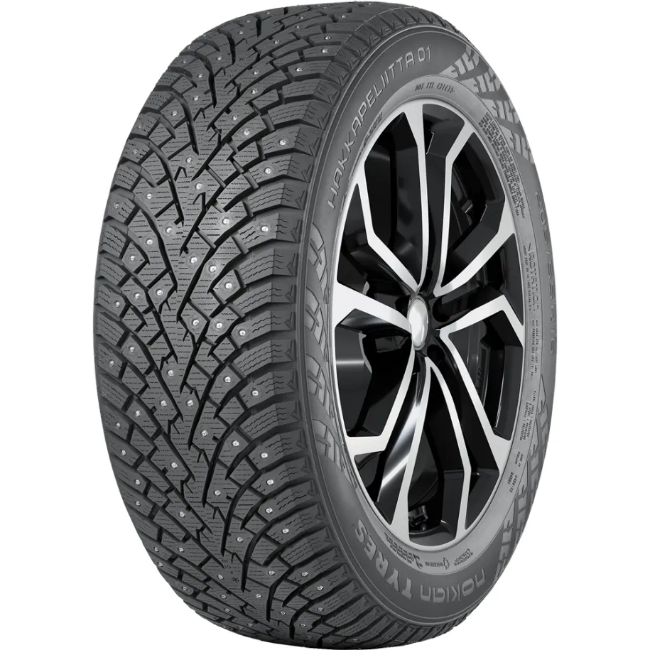 NOKIAN R20 T padangos
