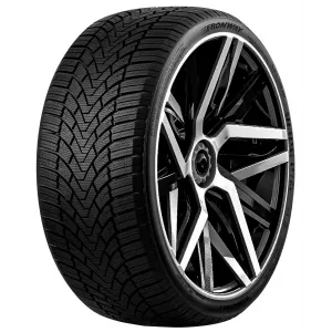 225/55 R16 95H ICEMASTER I