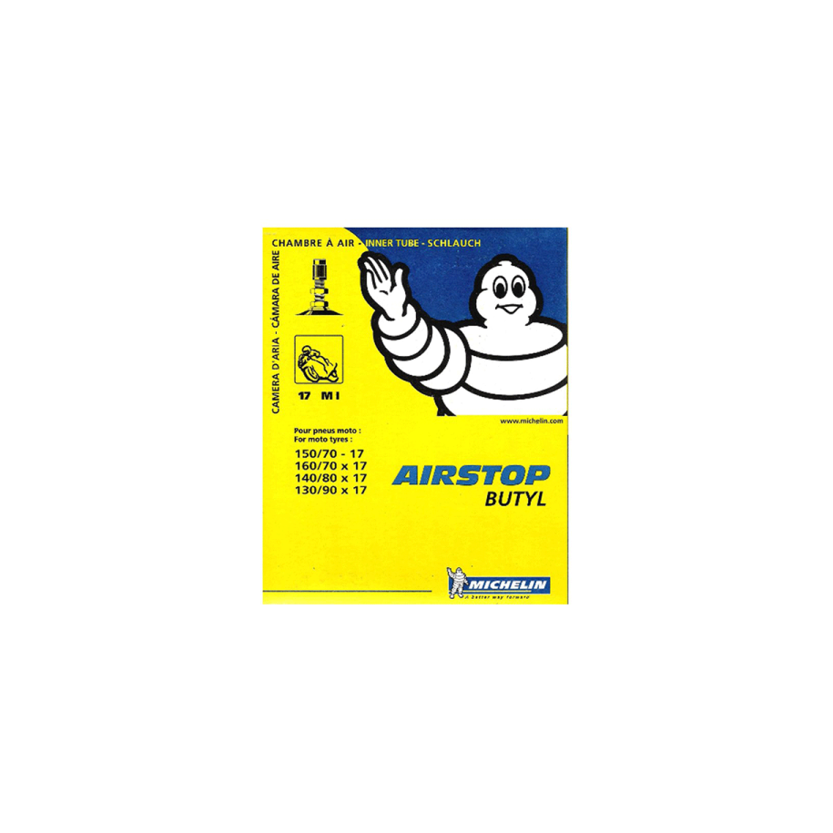 MICHELIN padangos