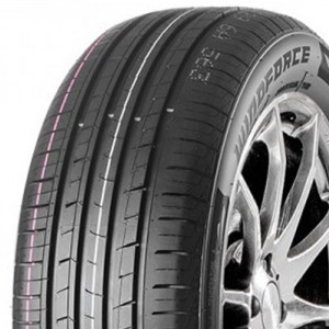 WINDFORCE R15 100H padangos