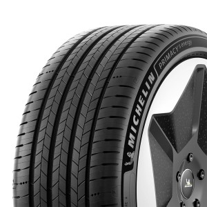 MICHELIN R19 105V padangos