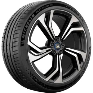 MICHELIN R19 W padangos