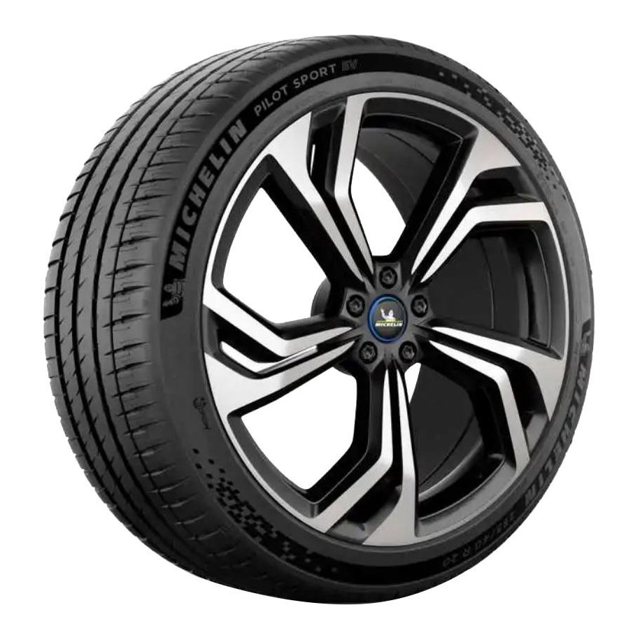 MICHELIN R19 W padangos