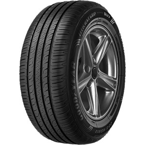 GOODYEAR R19 V padangos