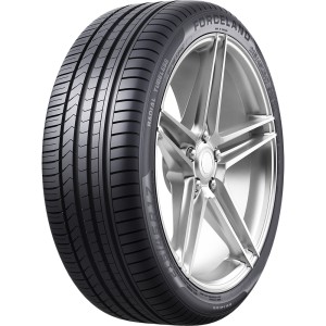 FORCELAND R21 W padangos