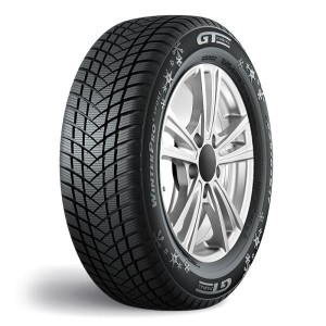 GT RADIAL R19 V padangos