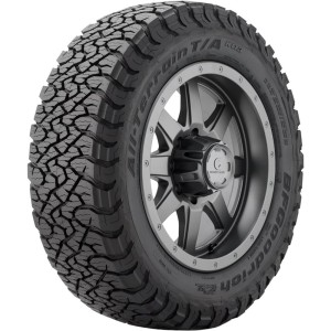 BF GOODRICH R20 S padangos