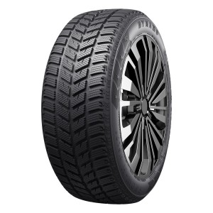 DYNAMO R14 T padangos