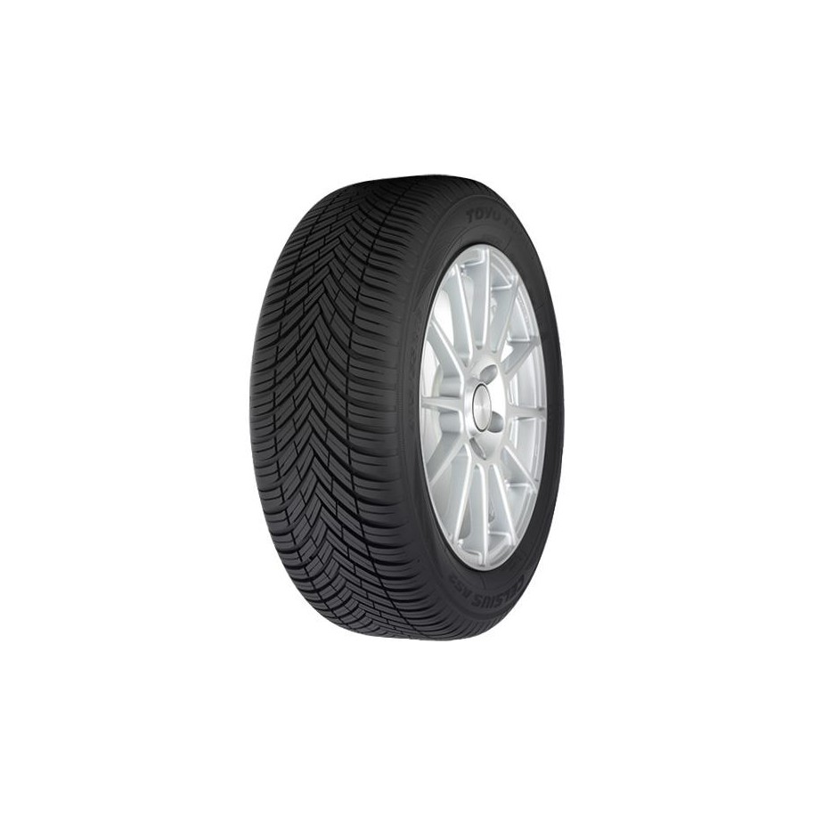 TOYO R19 T padangos