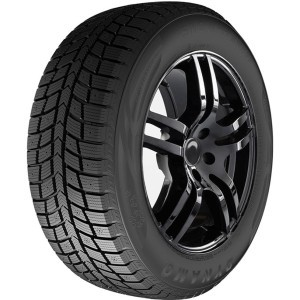 DYNAMO R18 T padangos