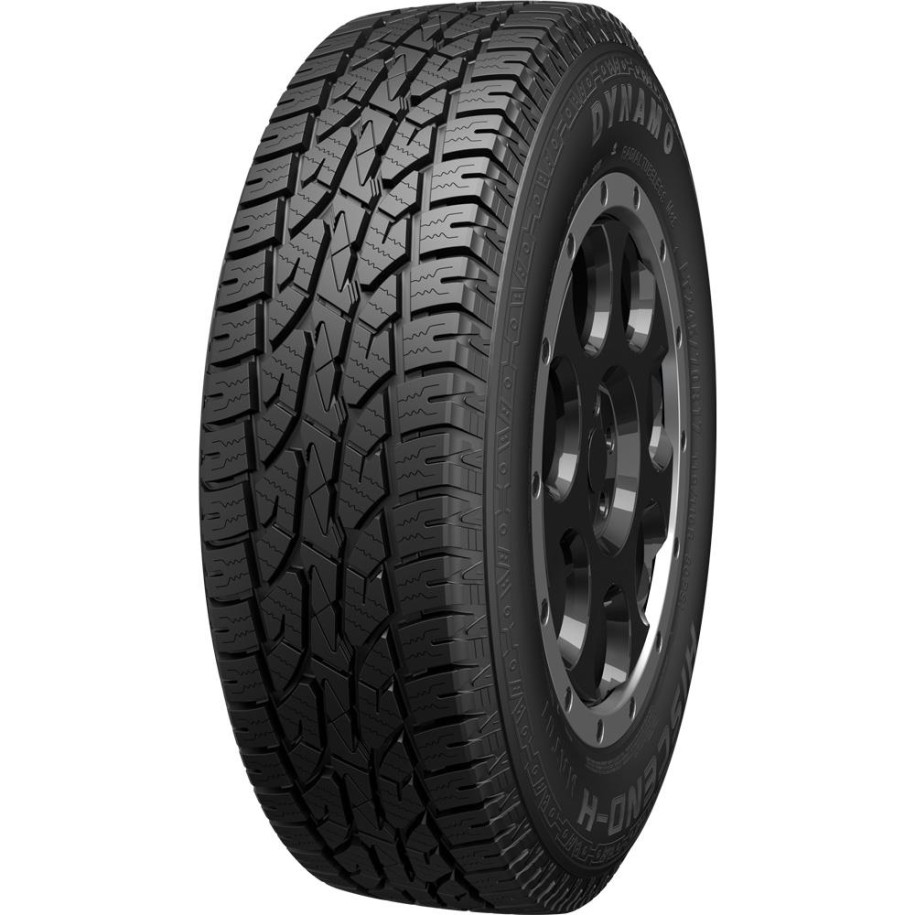 DYNAMO R17 T padangos