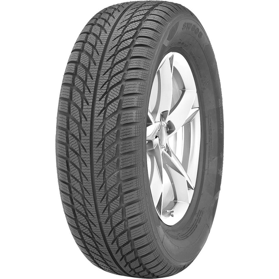 WESTLAKE R17 V padangos