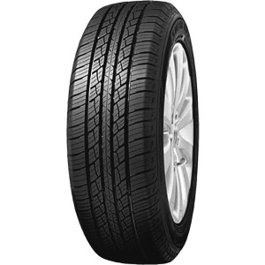 GOODRIDE R17 H padangos