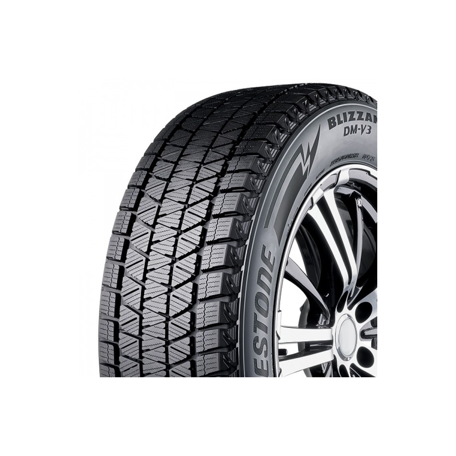 BRIDGESTONE R20 102T padangos