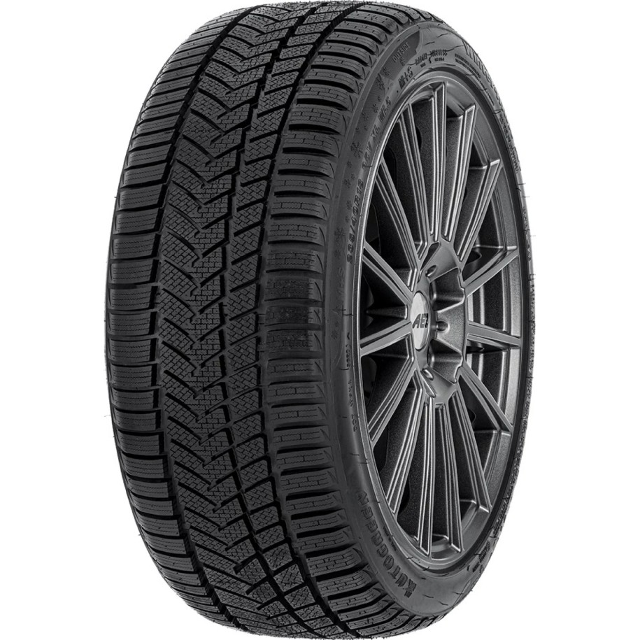Autogreen 255/40R19 100V WINTER-MAX A1-WL5 XL