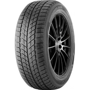 Double Star 245/40R18 93H DW09