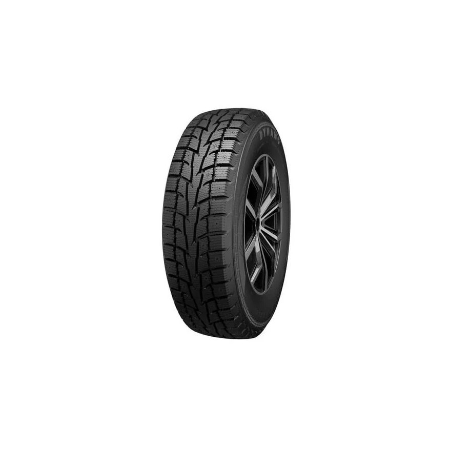 Dynamo 225/55R19 99H MWS01
