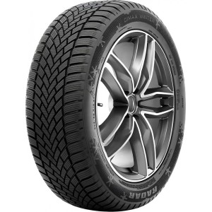 RADAR 255/35R19 96W DIMAX WINTER EVc XL