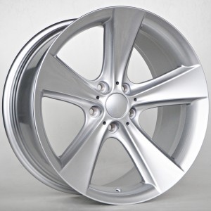 vortex R19 ET22 CB74.10 Silver ratlankiai