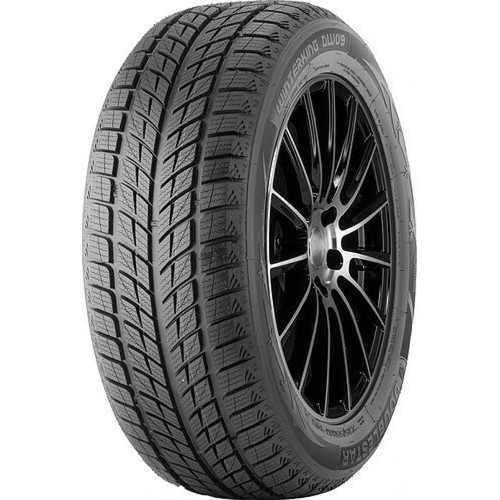 Double Star 245/40R18 93H DW09