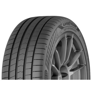 GOODYEAR R19 Y padangos