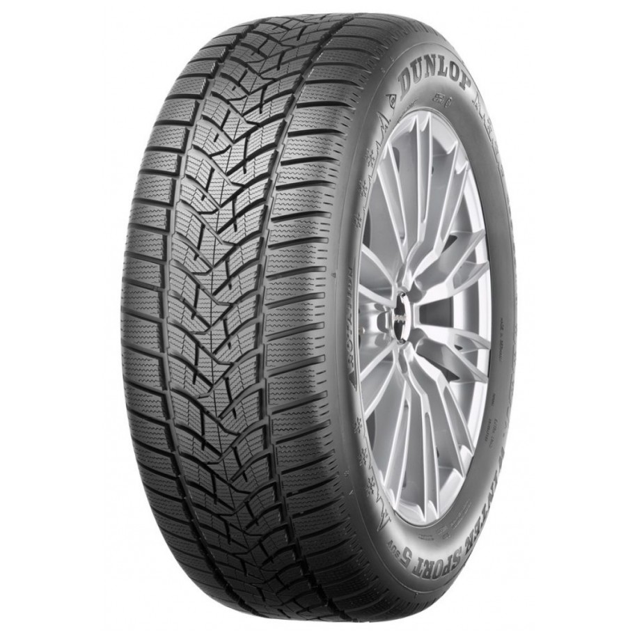 DUNLOP R19 V padangos